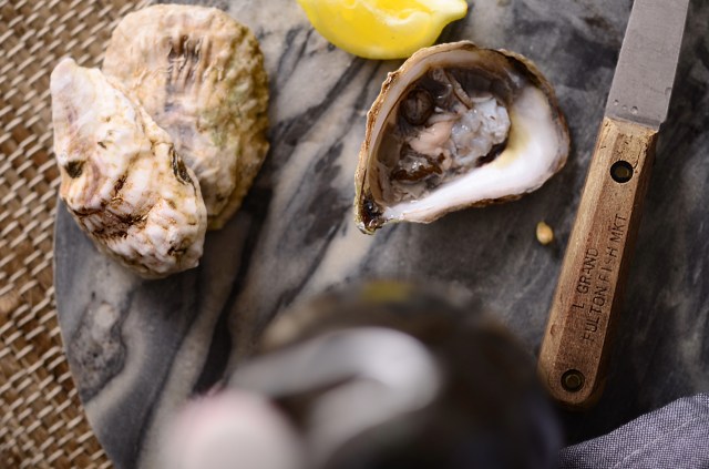 oyster close up longfork.jpg