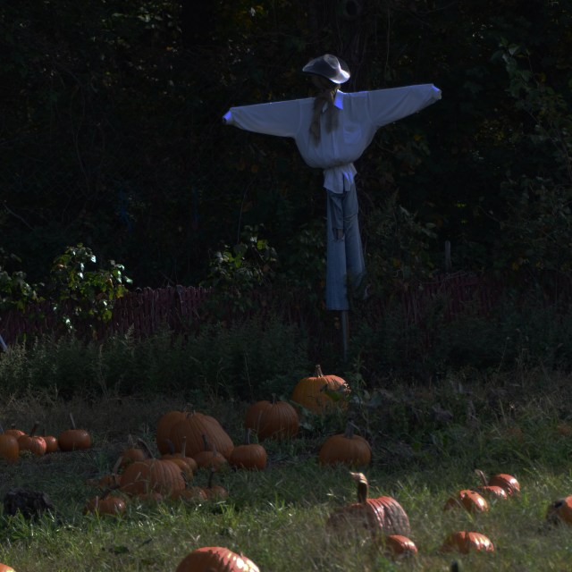 dark scarecrow.jpg