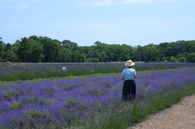 woman with hat lavendar